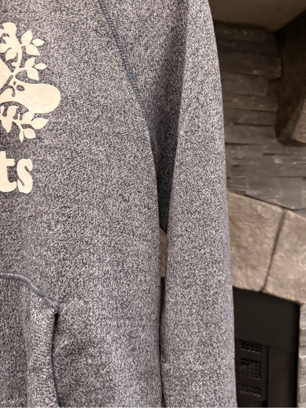 Roots Gray Heather Hoodie with Cream Beaver Logo could be Women’s or Men’s - Picture 2 of 5
